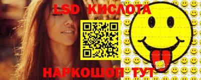 гидропоника Пенза