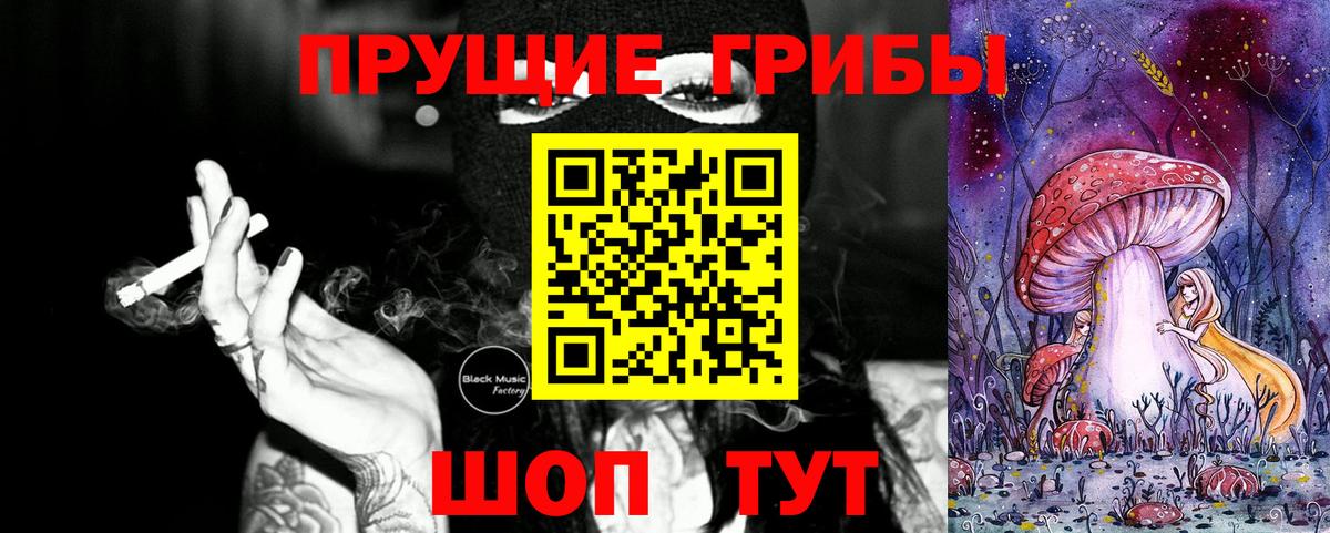 Псилоцибиновые грибы GOLDEN TEACHER Протвино